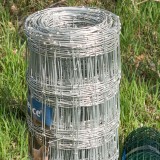 Wire Fencing
